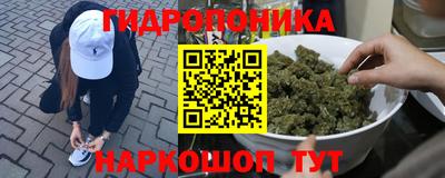 Альфа ПВП Пушкино
