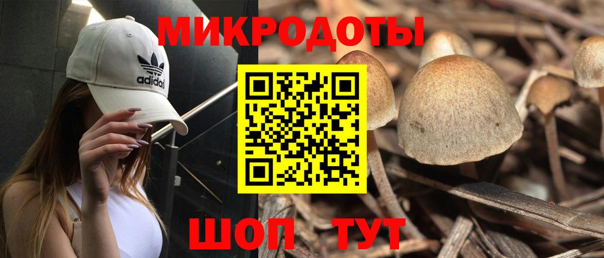 Галлюциногенные грибы Magic Shrooms Троицк