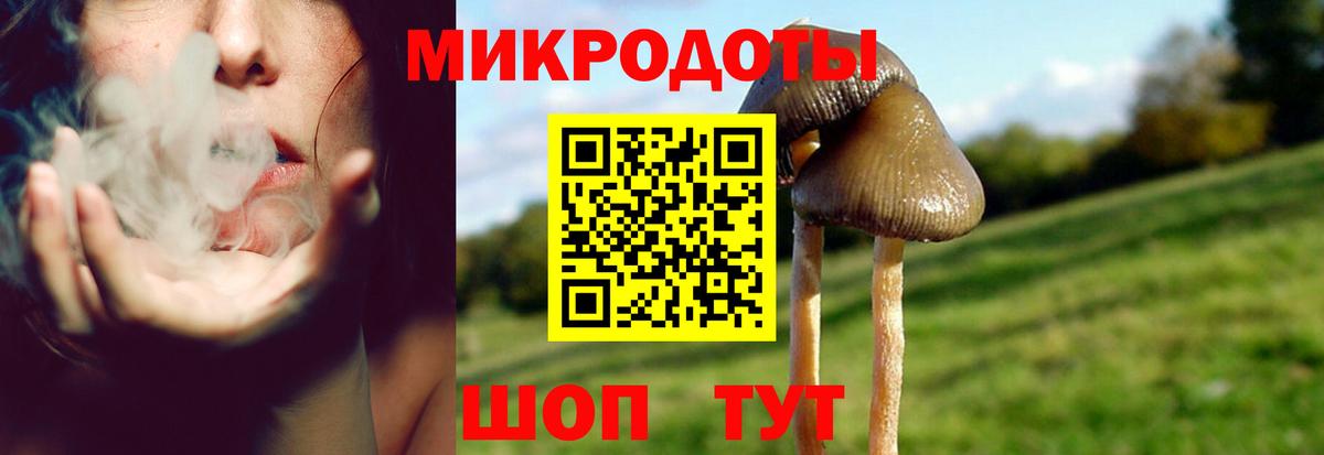 Галлюциногенные грибы мухоморы  Вход с VPN  Троицк 